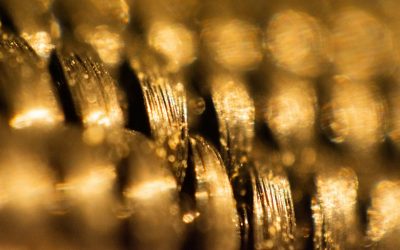 Gold Plated or Solid Gold? How to Tell the Difference