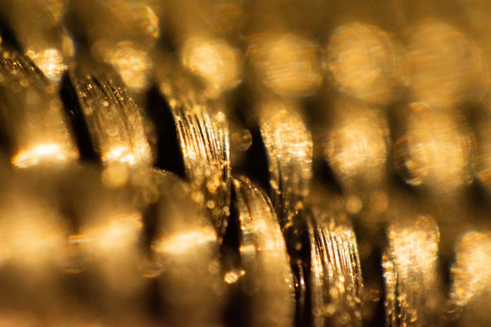 A gold chain photographed in close detail